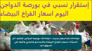 <p><strong>أسعار جديدة..</strong> بورصة الدواجن تكشف آخر تحديثات أسعار الفراخ البيضاء والساسو والبلدي وأثرها على السوق</p>